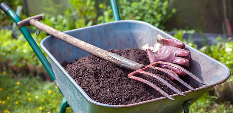 Compost in Wheelbarrow