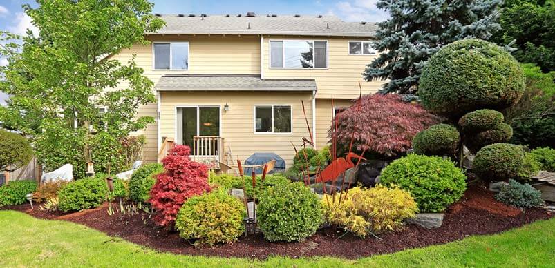 Flower Bed and House